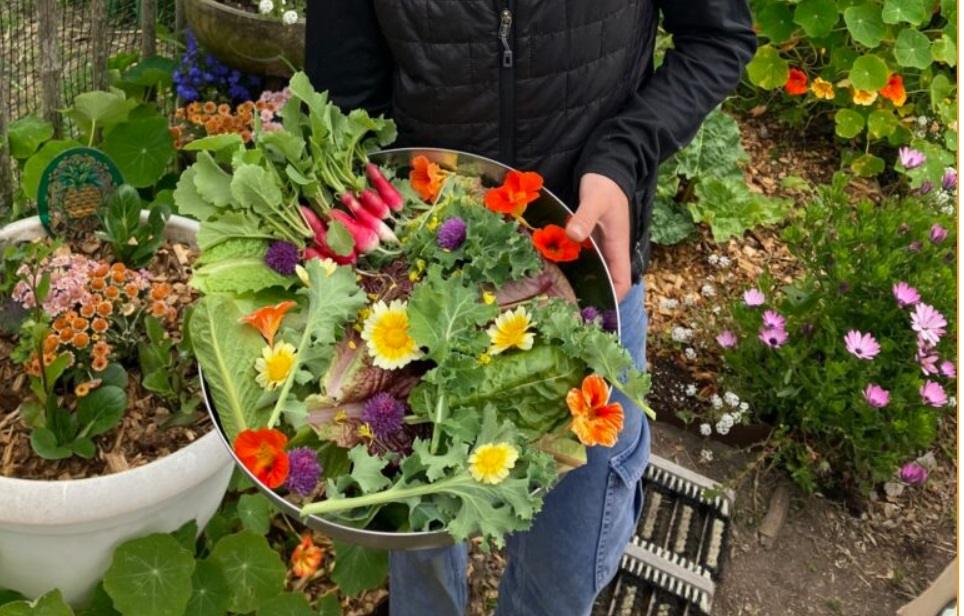 Vegetables and flowers.