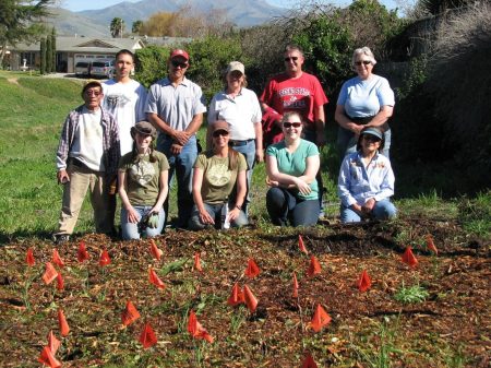 Santa RIta Creek Native Plant Garden 4